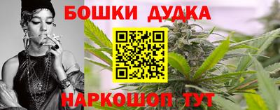 дурь Шелехов