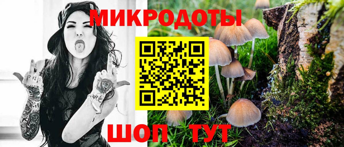 Псилоцибиновые грибы Magic Shrooms Ачхой-Мартан